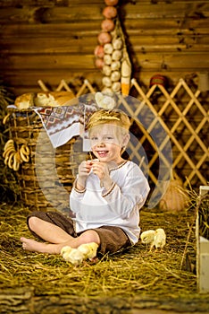 Easter fairy tale, a boy with chickens playing in a barn.