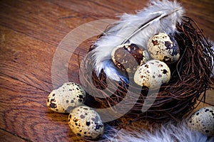 Easter feather eggs