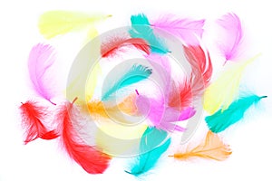Easter feathers background