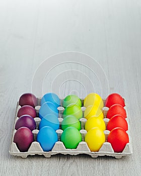 Easter festive multicolor eggs carton