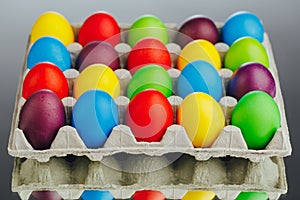 Easter festive multicolor eggs carton, gray background