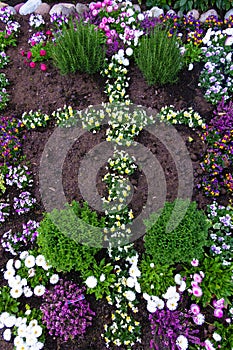 Easter flowerbed - cross of flowers