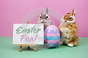 Easter Fun! text with rabbit and egg on pink and green background