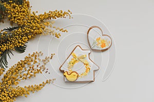 Easter gingerbread cookies and mimosa flowers on white background. top view copy space. Hello Spring concept