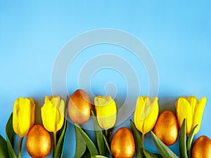 Easter golden eggs and yellow tulips flat lay on blue background with copy space