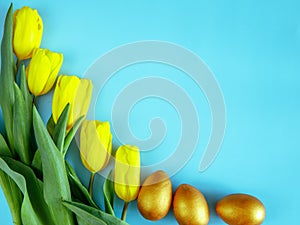 Easter golden eggs and yellow tulips flat lay on blue background with copy space