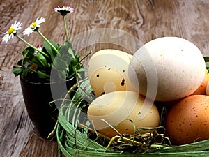 Easter green nest with eggs and spring flowers