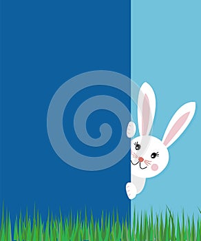 Easter greeting card concept with text cute bunny rabbit looking behind the blue wall on spring grass background. Vector