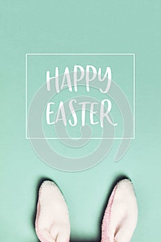 Easter greeting card with Plushy bunny ears on bright background. Easter minimal concept