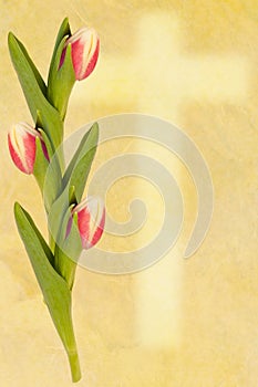 Easter greetingcard tulip and cross photo