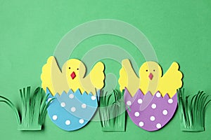 Easter hand made decorations: hatched chicken in eggshell isolated on green background