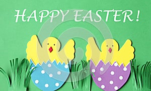 Easter hand made greeting card: hatched chicken in eggshell isolated on flower background