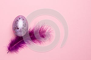 Easter holiday. Beautiful egg lie on purple feather on pastel pink background.