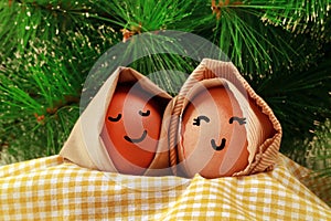 Easter Holiday Concept Two Egg Hooded Smile on a Yellow Napkin with Green Spruce Background