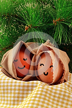 Easter Holiday Concept Two Egg Hooded Smile on a Yellow Napkin with Green Spruce Background Vertical