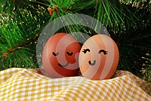 Easter Holiday Concept Two Eggs Smile Happiness on a Yellow Napkin with Green Spruce Background