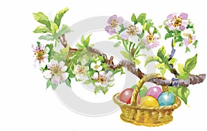 Easter holiday watercolor wicker basket filled with colorful eggs vector illustration