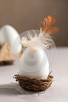Easter holiday. White egg with a feather in a nest, bright minimalistic background