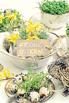Easter home decoration quail eggs forsythia flowers Vintage toned
