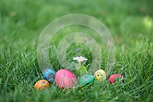 Easter hunt - different color eggs in a yard