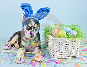 Pascua de resurrección ronco muro 