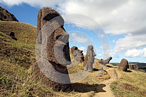 Easter island photo