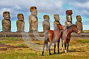 Easter Island horses photo