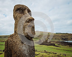 Easter Island Maoi Statue photo