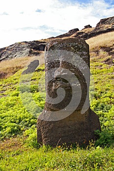 Easter Island Moai - Rano Raraku photo
