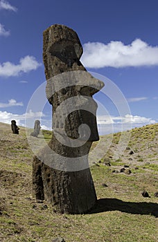 Easter Island - Moai - South Pacific