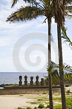 Easter island with palmtrees and statues photo