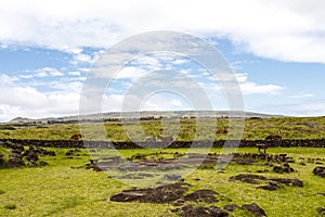 Easter Island Rapa Nui or Isla de Pascua landscape with meadows, Chile photo