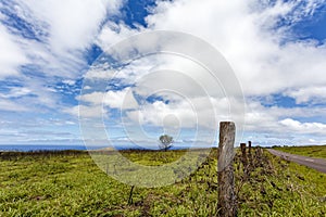 Easter Island Rapa Nui or Isla de Pascua landscape with the Pacific Ocean in the background, Chile photo