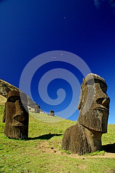 Easter Island Statues