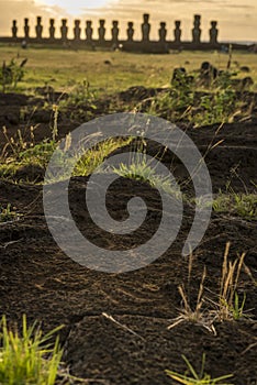 Easter island , tongariki and petroglyphs photo