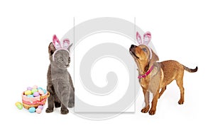 Easter Kitten and Puppy Blank Sign