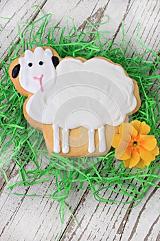 Easter lamb cookie