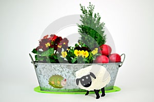 Easter lamb before the windowbox photo
