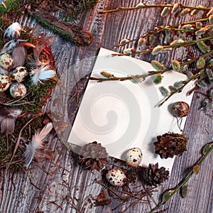 Easter letter decorated with quail eggs , gnezom , moss , feathers , pine cones and twigs of willow on wooden background