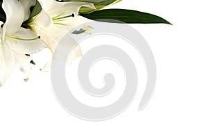 Easter lilies