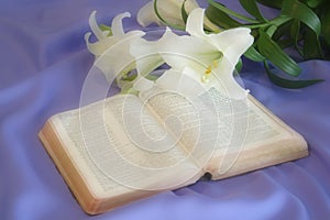 Lily laying on a antique bible on Easter morning