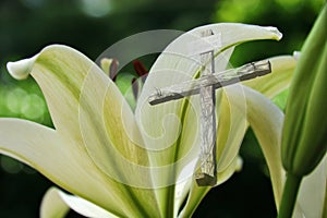 Easter Lily and the Cross