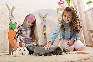 Easter - Little girls stroking the rabbits, hand beets