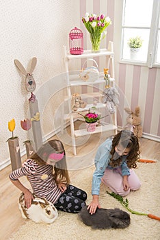 Easter - Little girls stroking the rabbits, hand beets