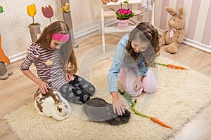 Easter - Little girls stroking the rabbits, hand beets