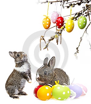 Easter photo