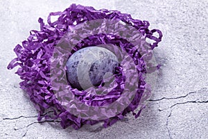 Easter marbled purple egg in a nest on a gray background