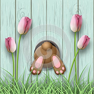 Easter motive, bunny bottom, pink tulips and fresh grass on blue wooden background, illustration