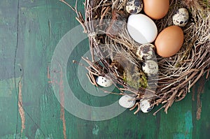 Easter nest of birch twigs and moss with chicken and quail eggs on green wooden background