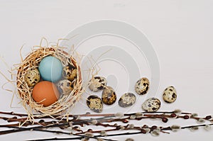 Easter nest with colorful eggs and willow twigs